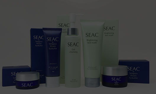 商品パッケージ